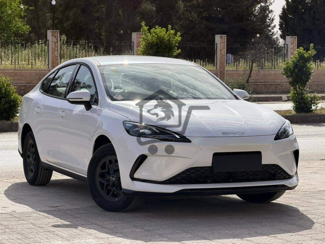 BYD Qin Plus 2025 - الصورة 3