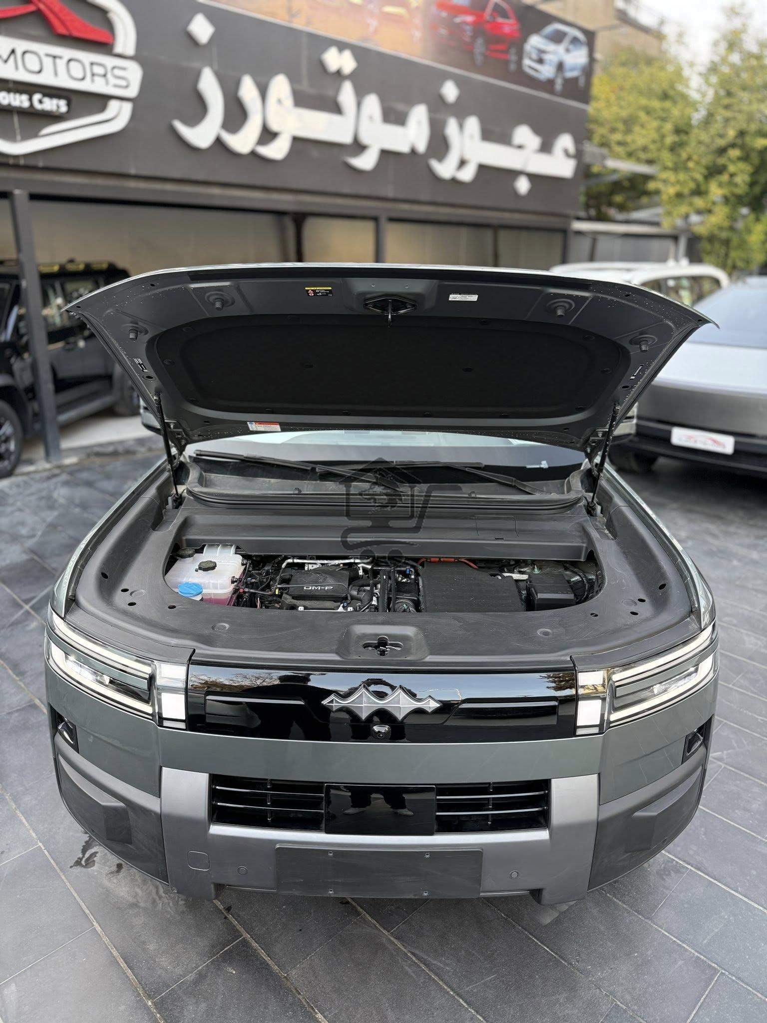 BYD - الصورة 2