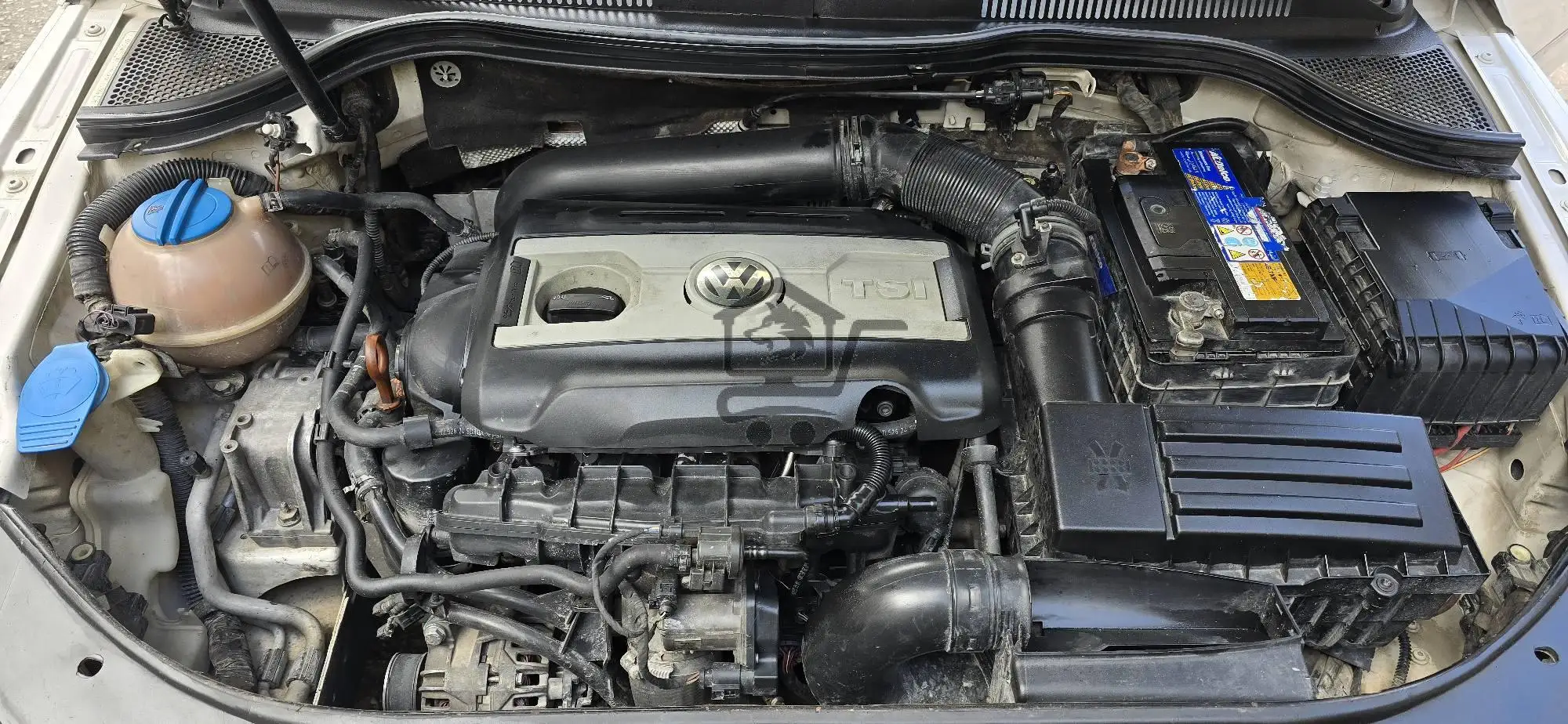 باسات  cc ٢٠١٢ - الصورة 7