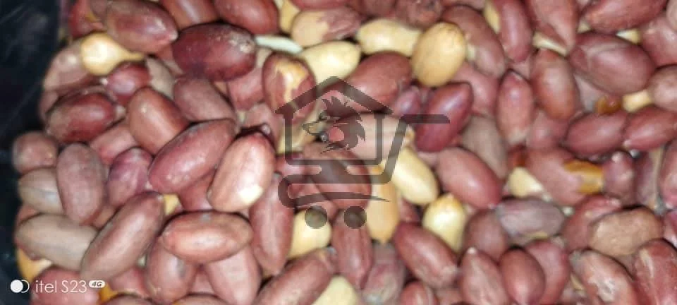 محمصة و ضيافة دوق و روق - الصورة 2