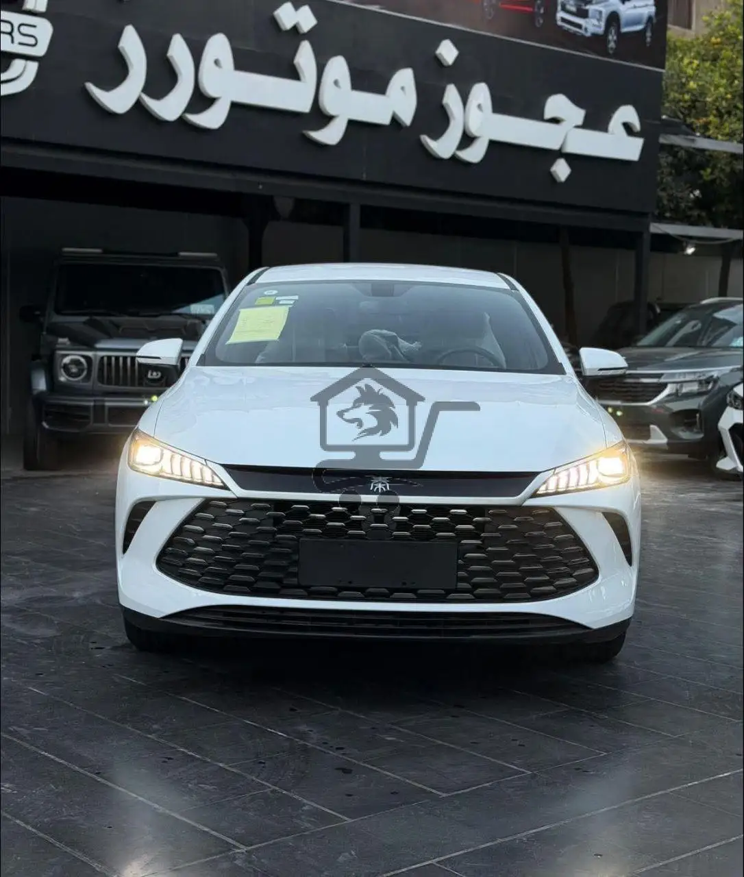 BYD Qin Plus - الصورة 1