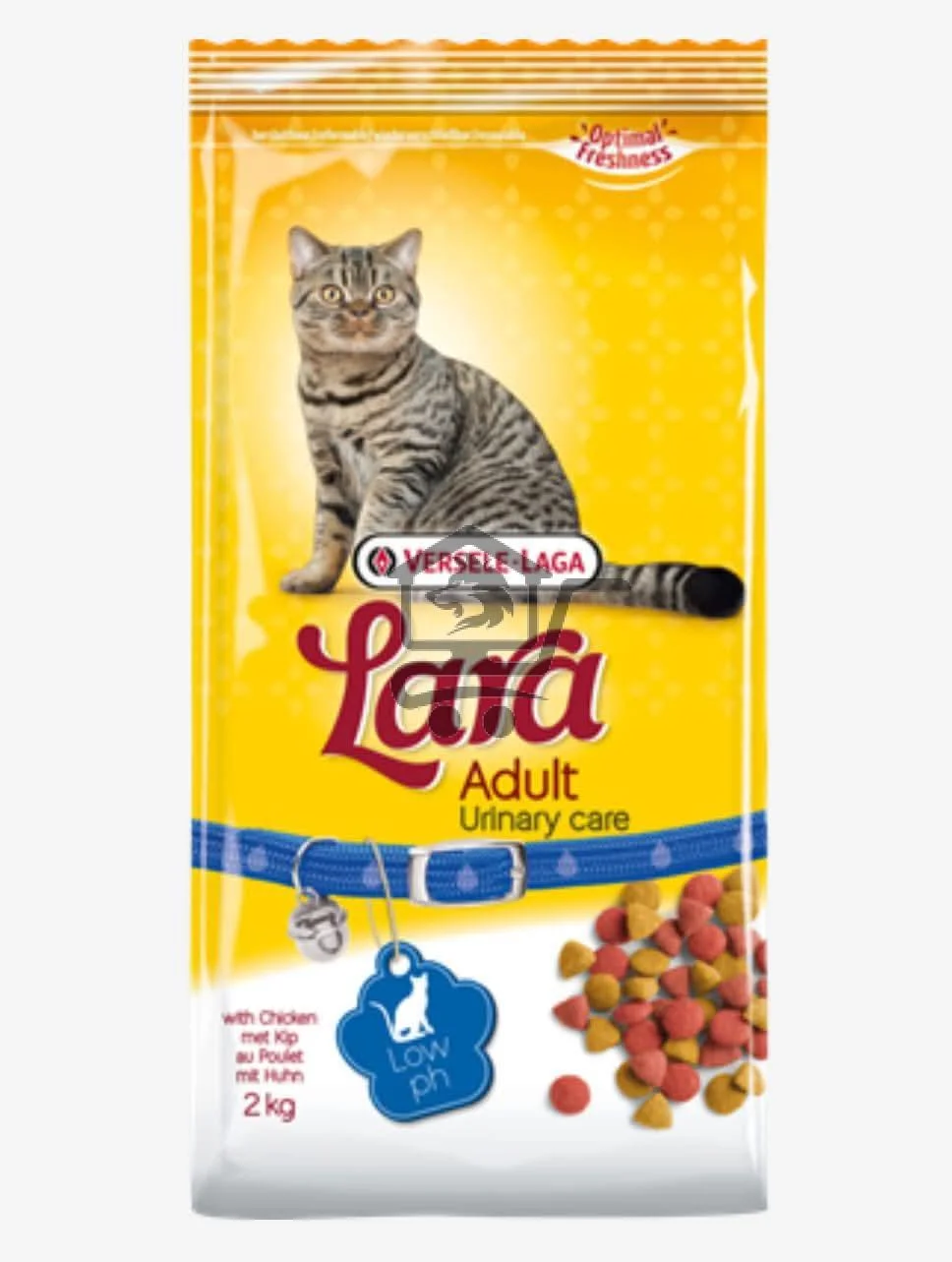 Animals Accessories - الصورة 5