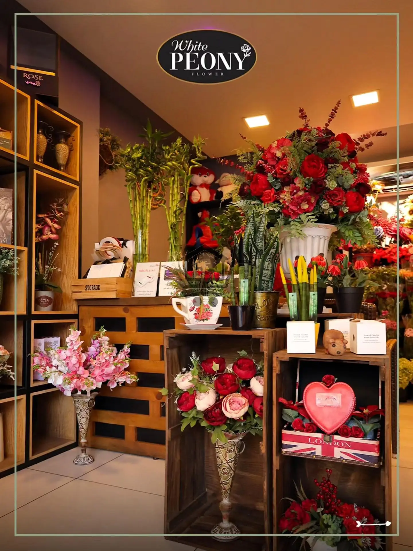 White peony - الصورة 1