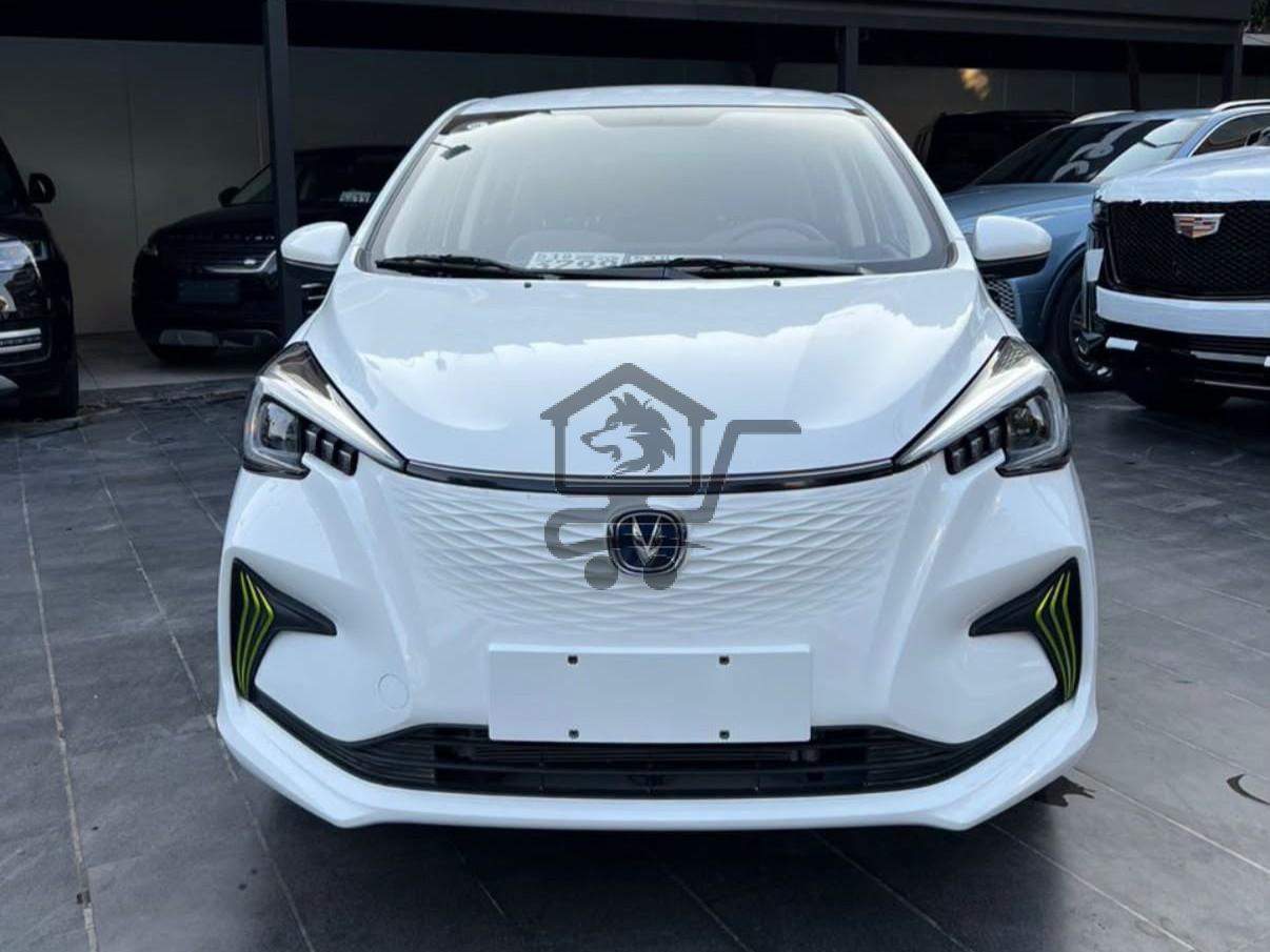 Changan E-star Med - الصورة 2