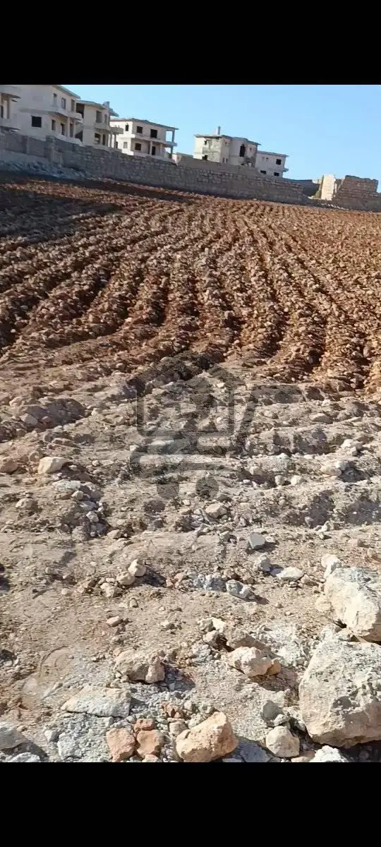 حلب خان العسل - الصورة 3