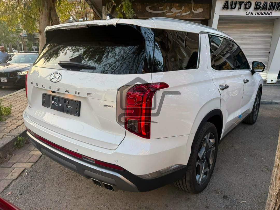 Hyundai Palisade 2024 - الصورة 2