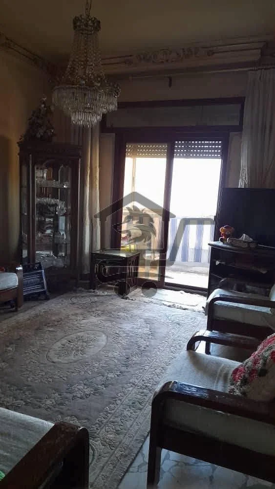 حلب المارتيني - الصورة 2