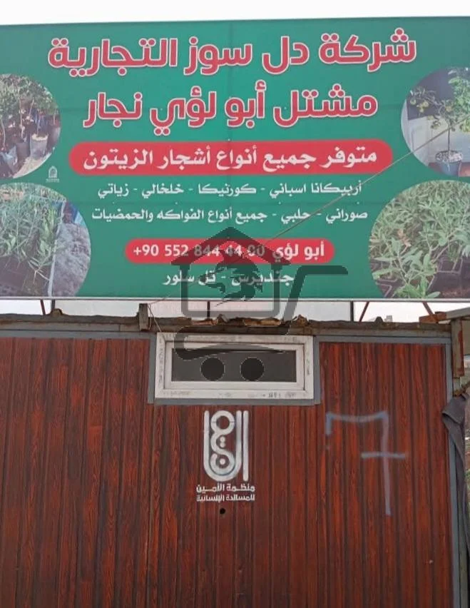 مشتل أبو لؤي