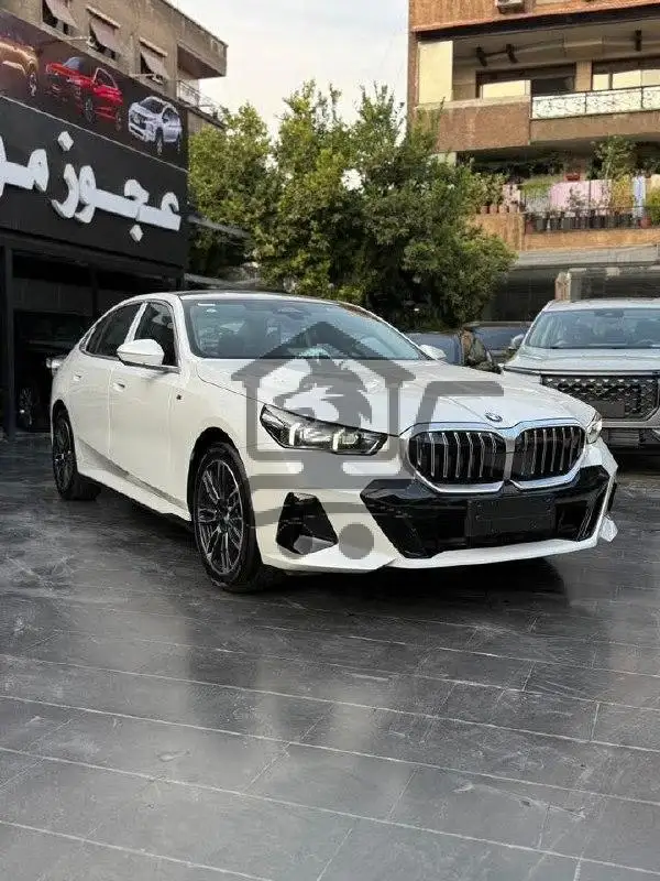 BMW 530Li - الصورة 2