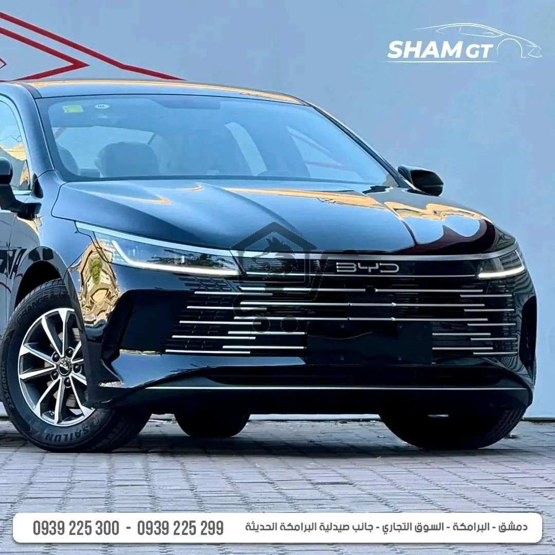 BYD Destroyer - الصورة 2