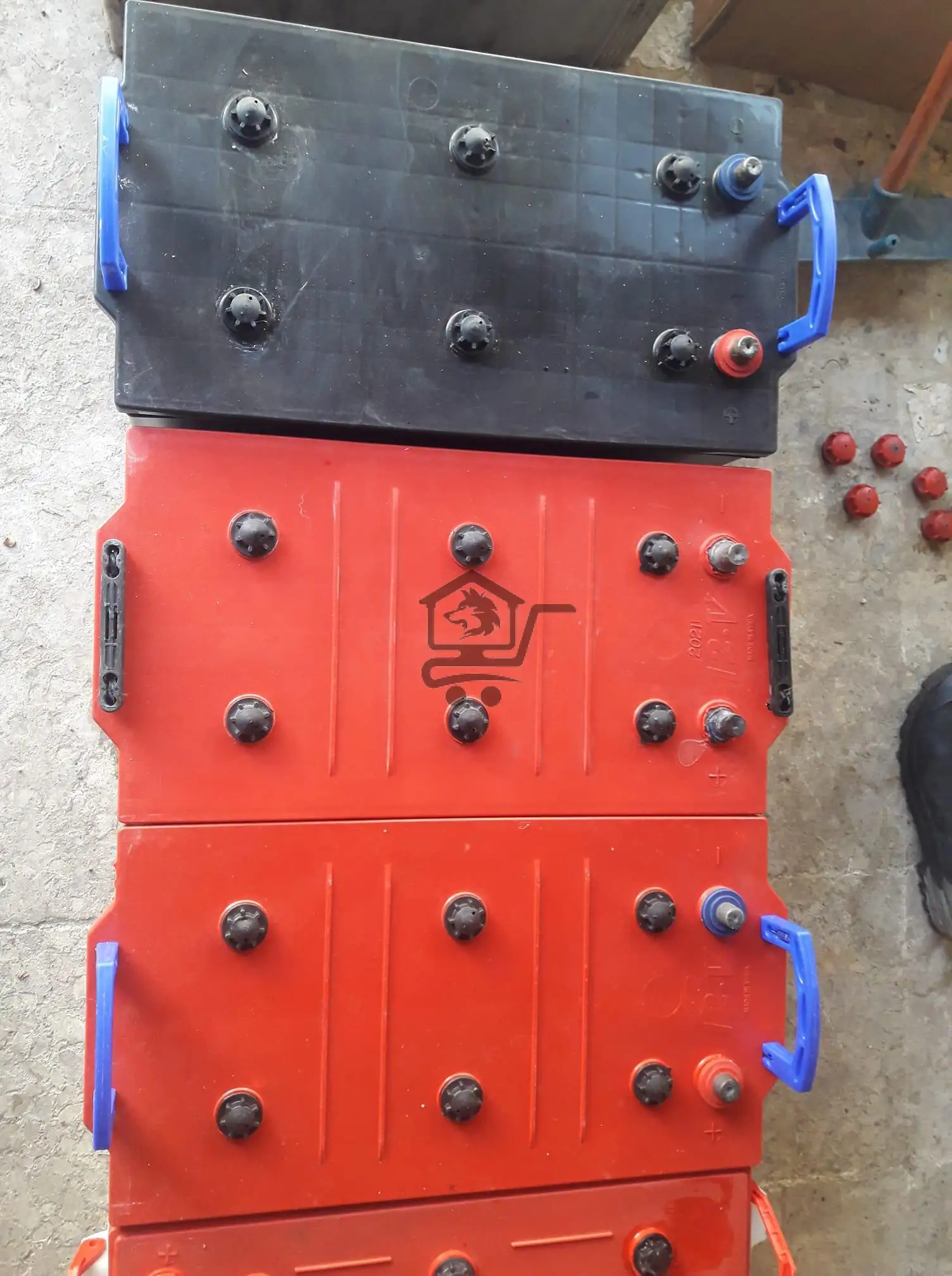 بطاريات الدلفين والبطريق - الصورة 2