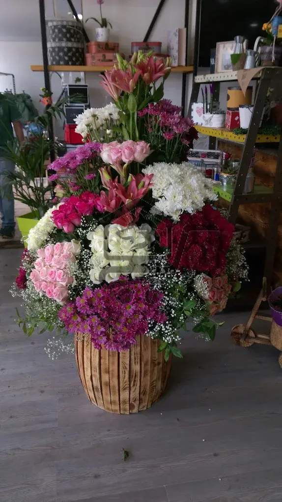 أزهار الميسات - الصورة 4