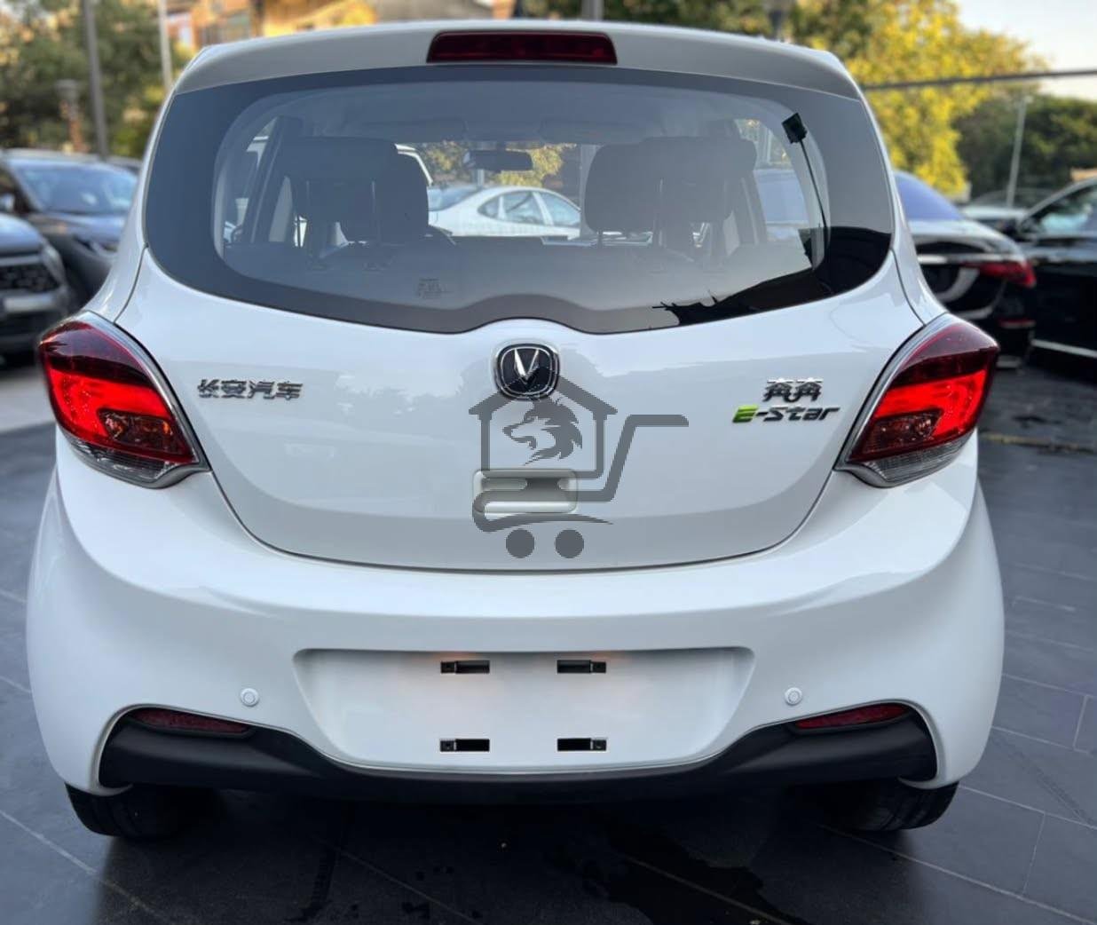 Changan E-star Med - الصورة 3