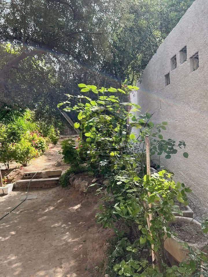 شقة مع جنينة كبيرة - الصورة 4