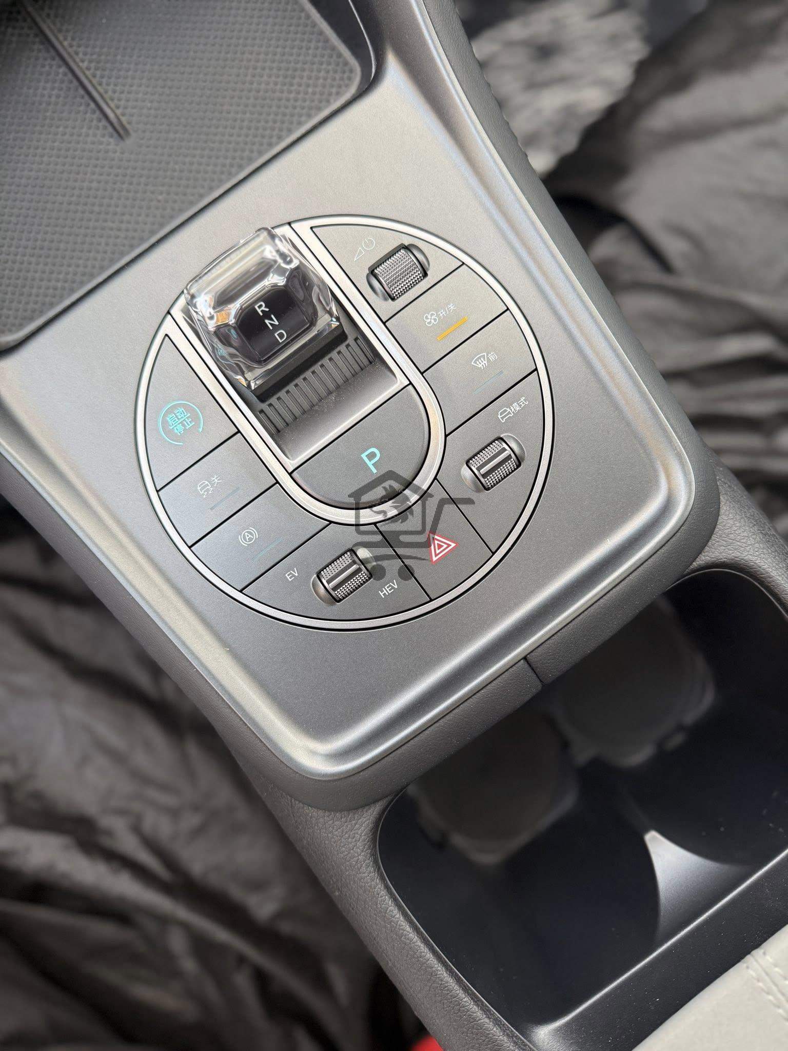 BYD - الصورة 3