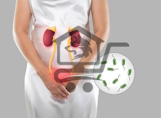 عيادة د. ميس حوّاط  أخصائية أمراض باطنة مُعدية (إن - الصورة 5