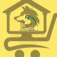 بيت الانارة Lighting Home - الصورة 1