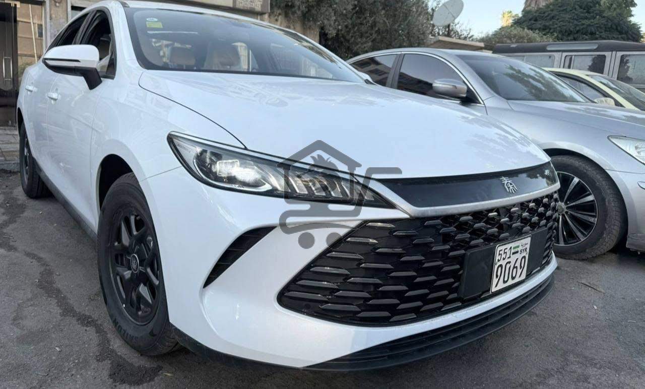 BYD Qin Plus 2026 - الصورة 3
