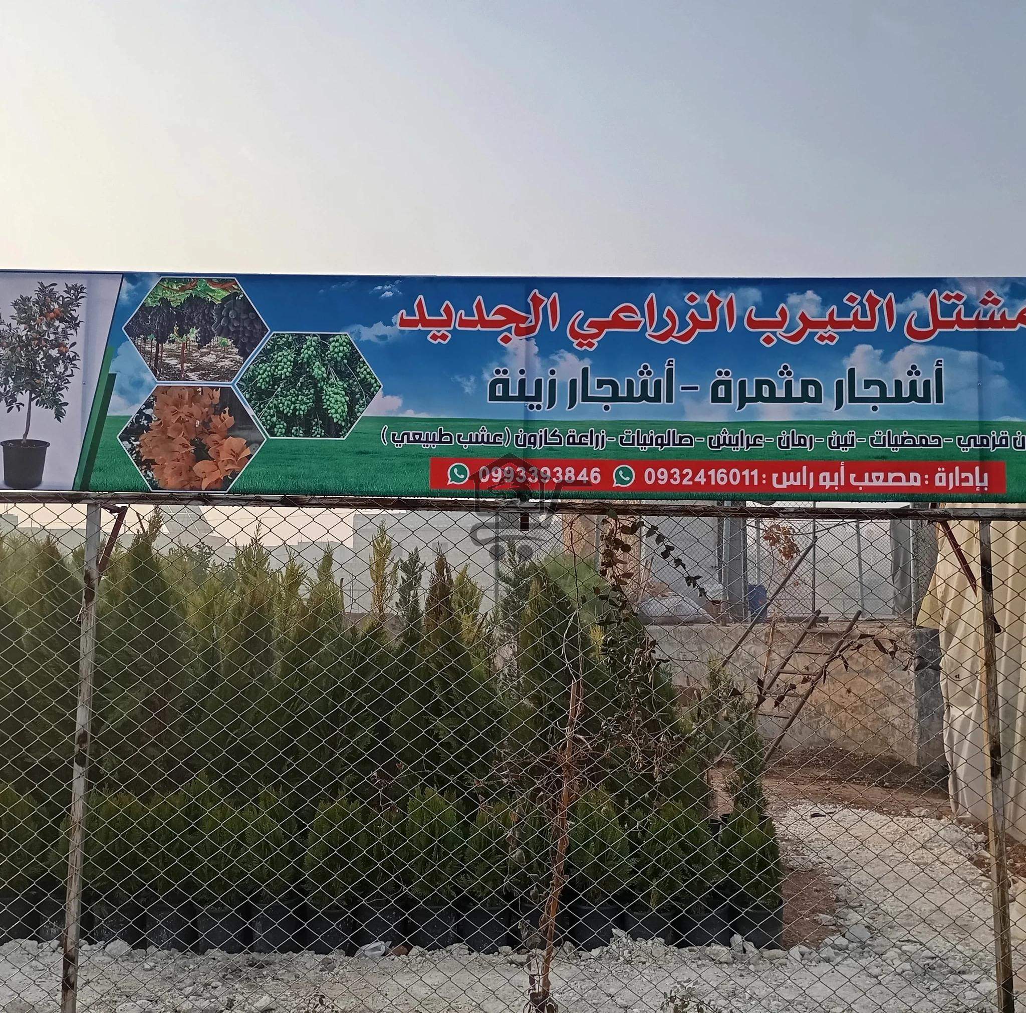 مشتل النيرب الزراعي - الصورة 1