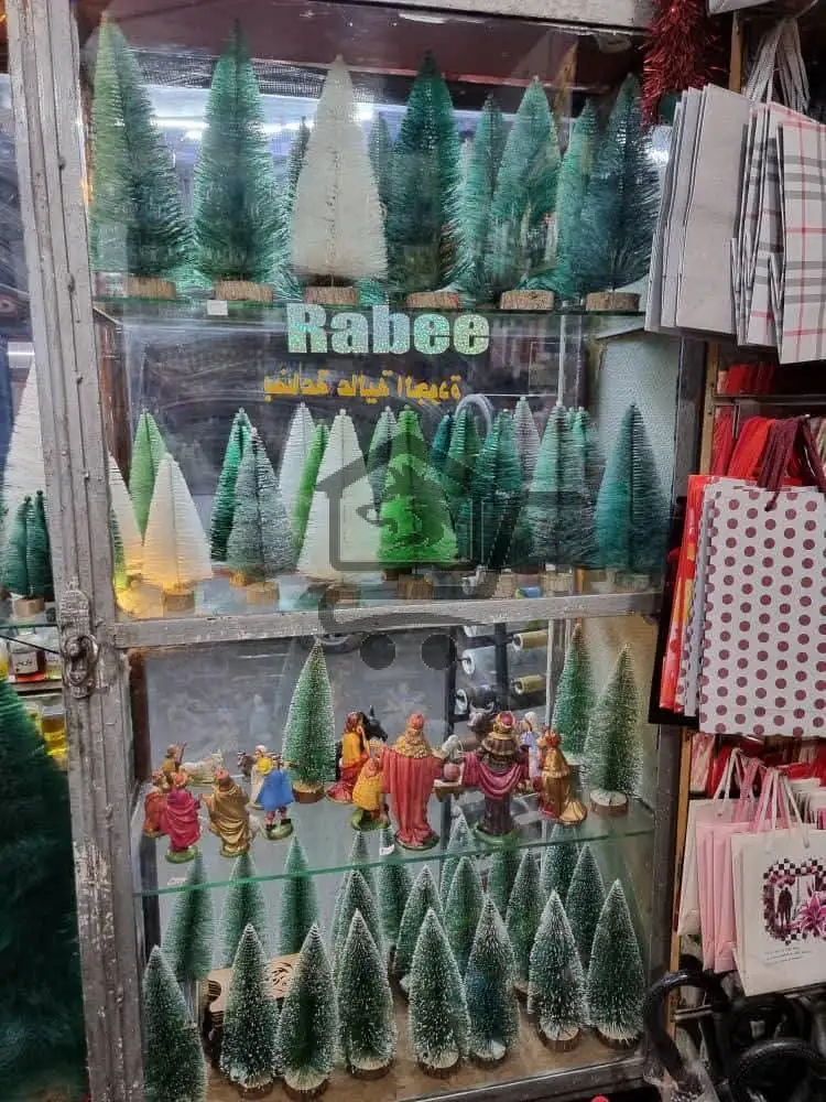 مكتبة الربيع - الصورة 5