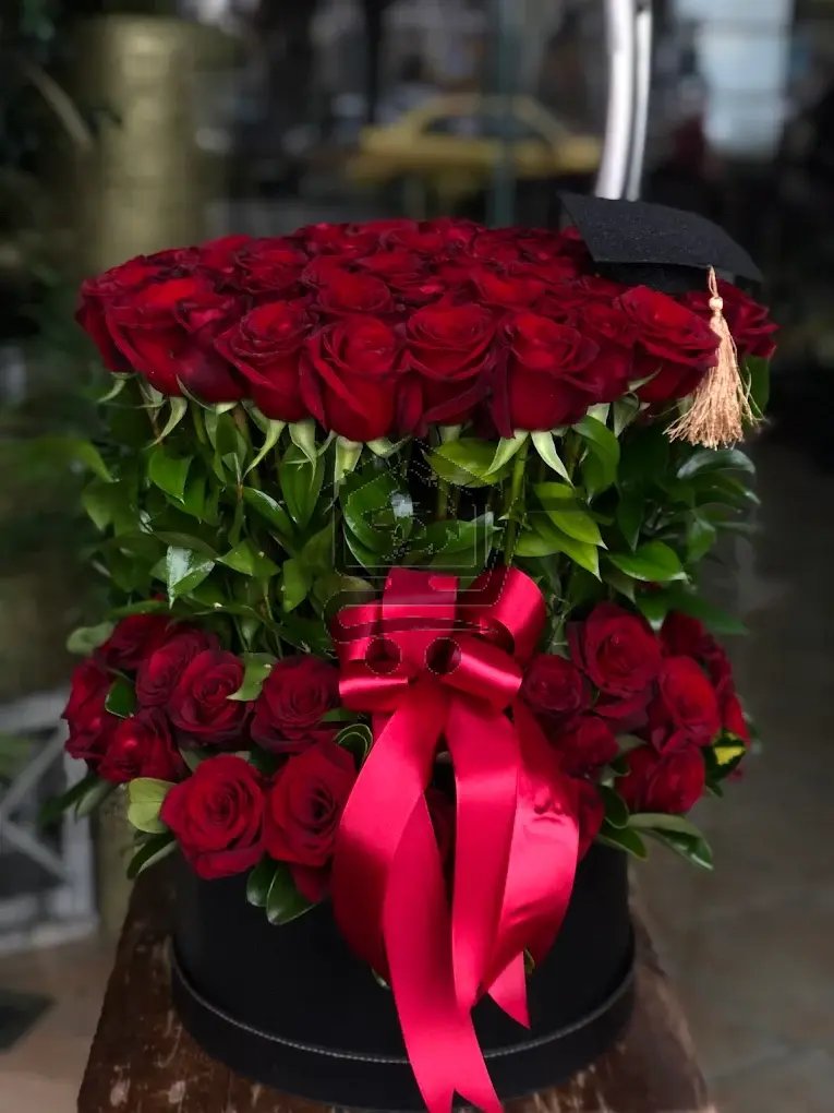 سلامة روز - الصورة 3