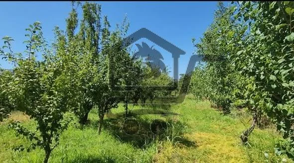 ريف دمشق جسر بيروت - الصورة 1