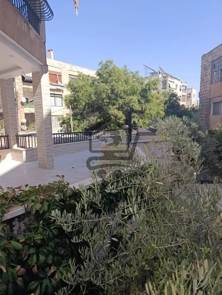 حلب شارع النيل - الصورة 1