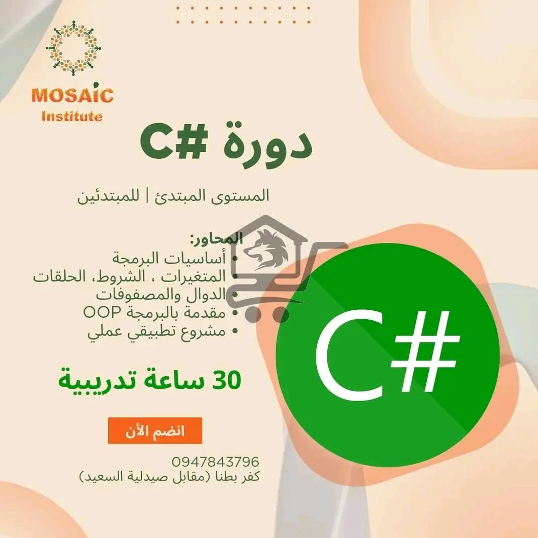 معهد موازييك - الصورة 3