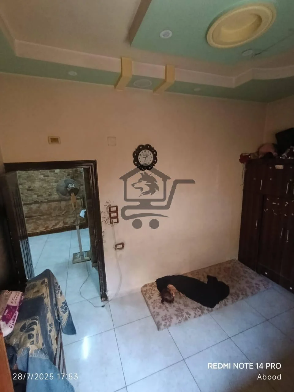 حماة - حي القصور - الصورة 7