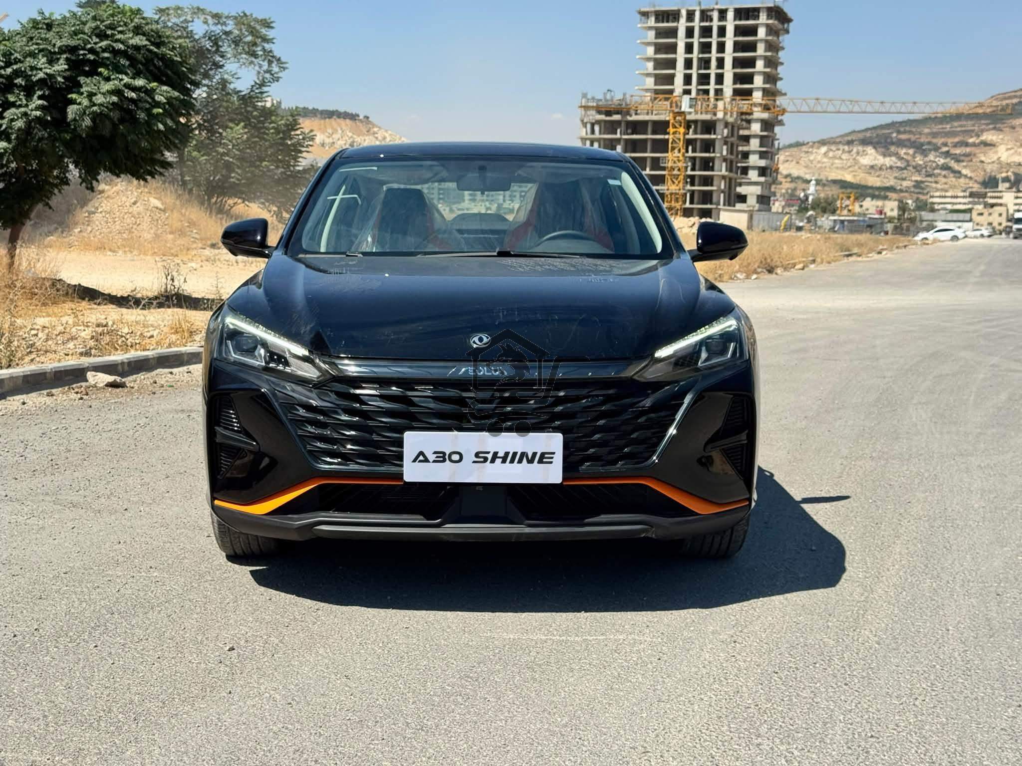 DongFeng - الصورة 2