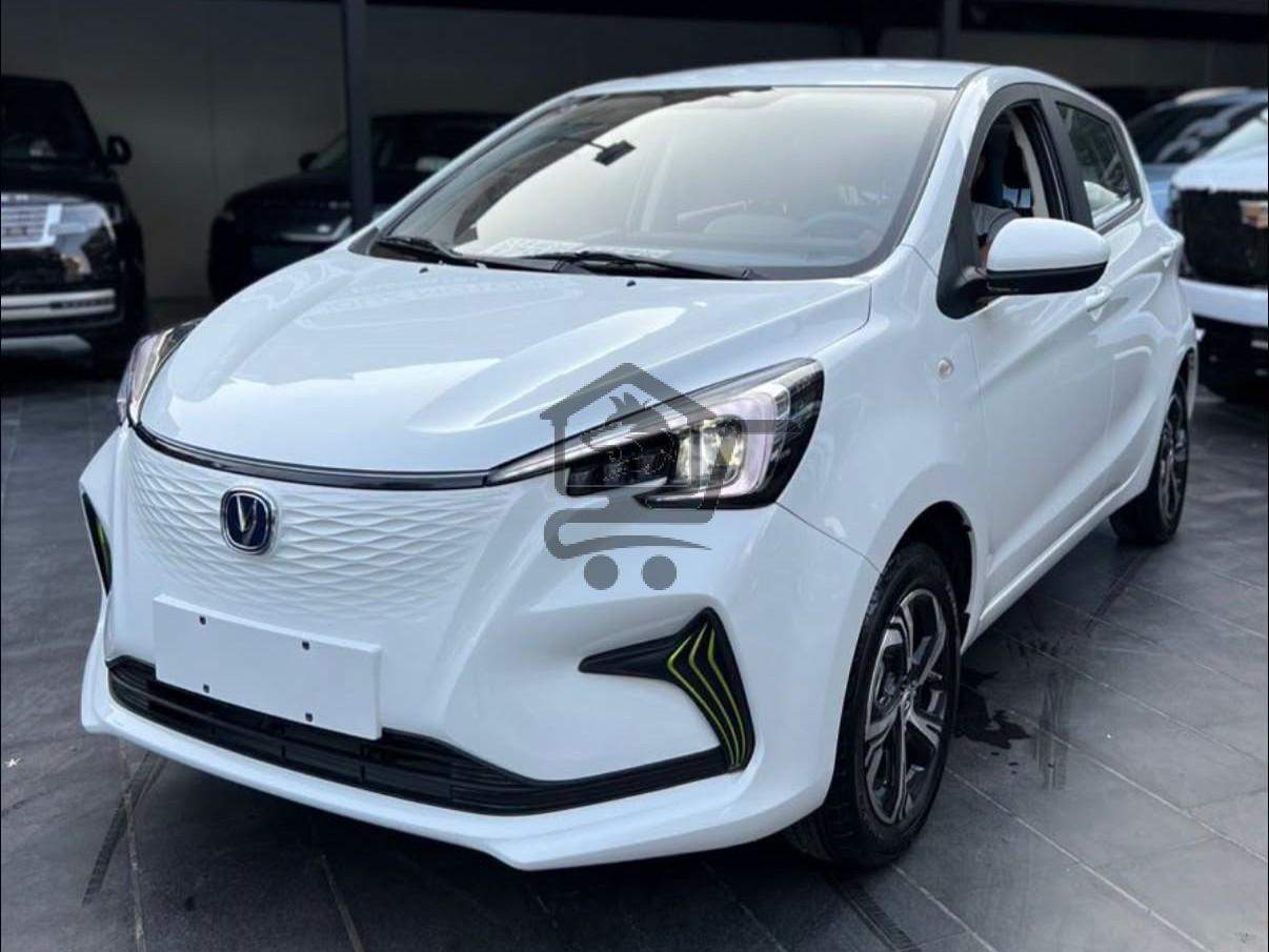 Changan E-star Med - الصورة 1