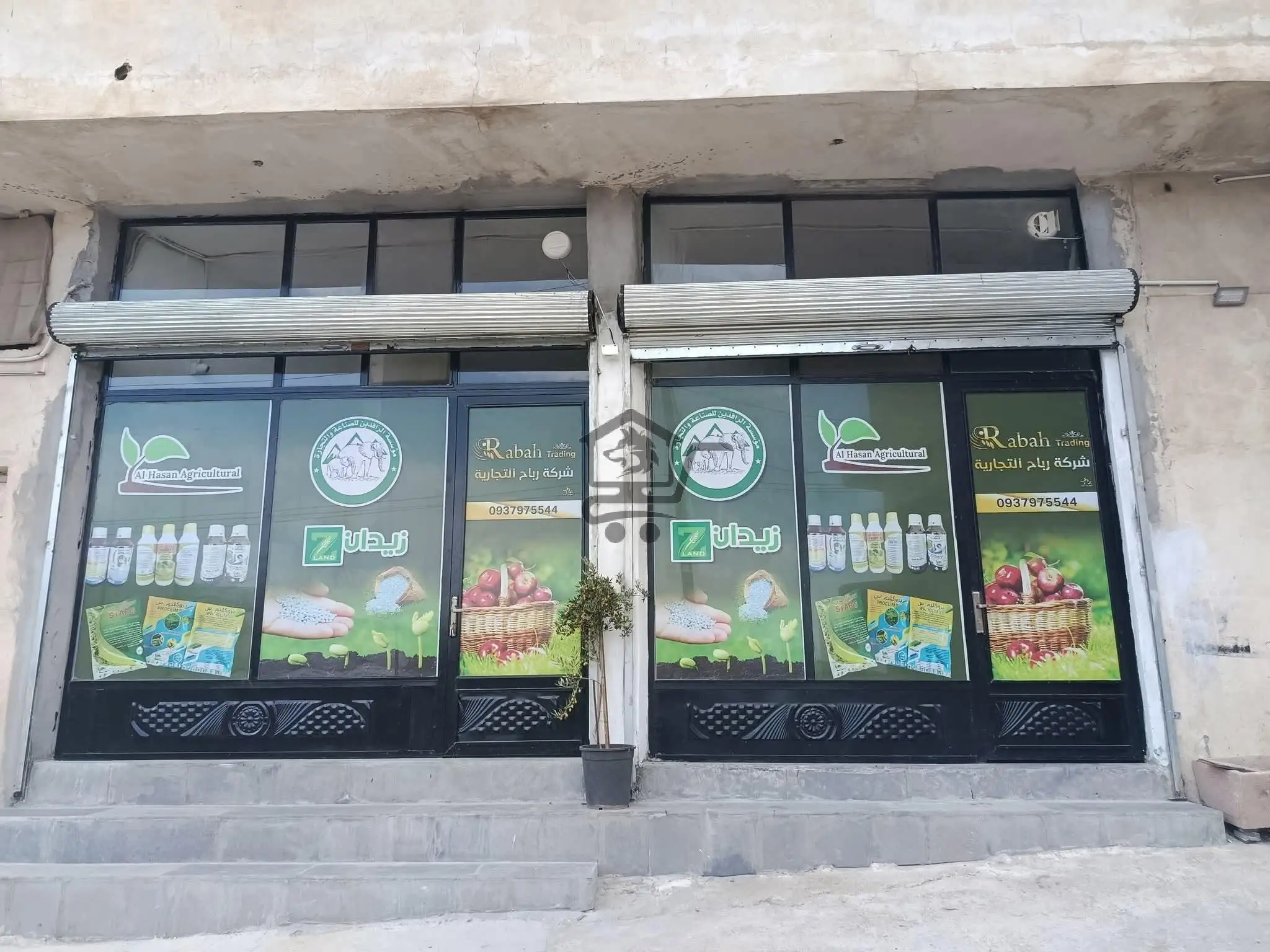 مشتل الجبل - الصورة 1