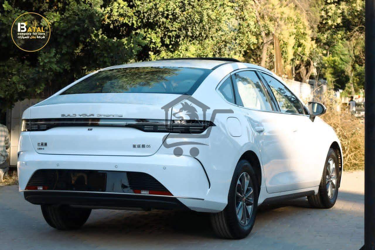 BYD DESTROYER - الصورة 7