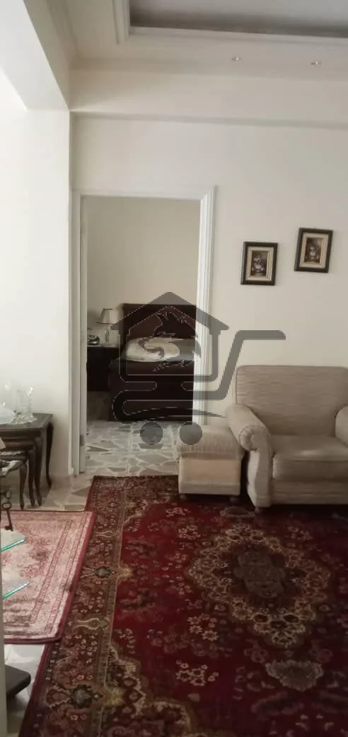 حلب شارع النيل - الصورة 3