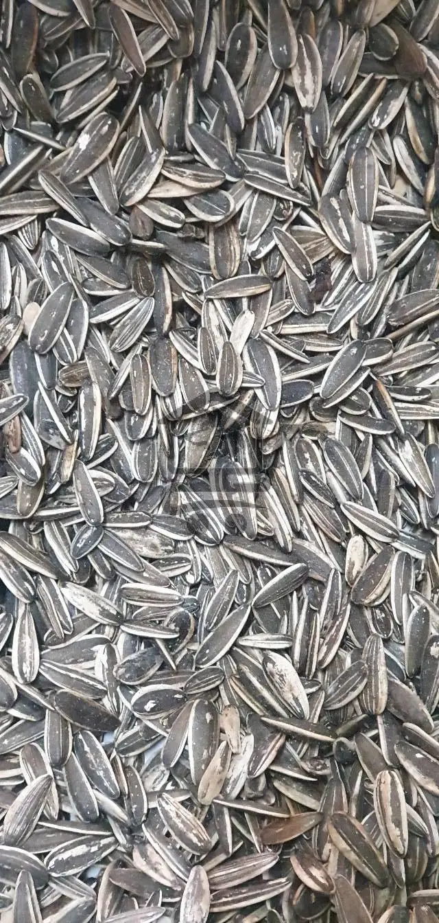 محمصة دمشق الحديثة - الصورة 3