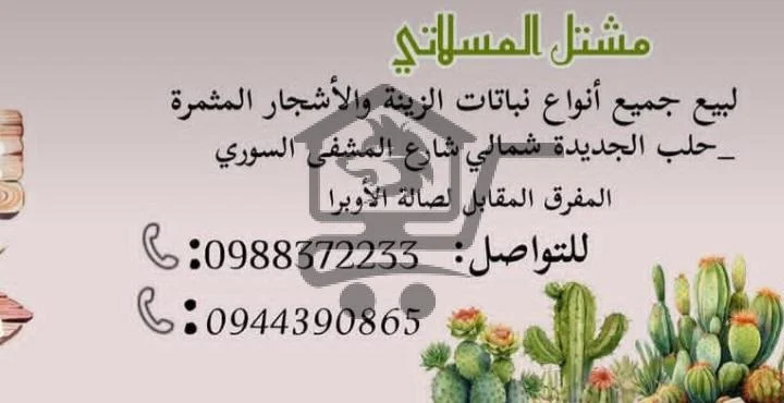 مشتل المسلاتي