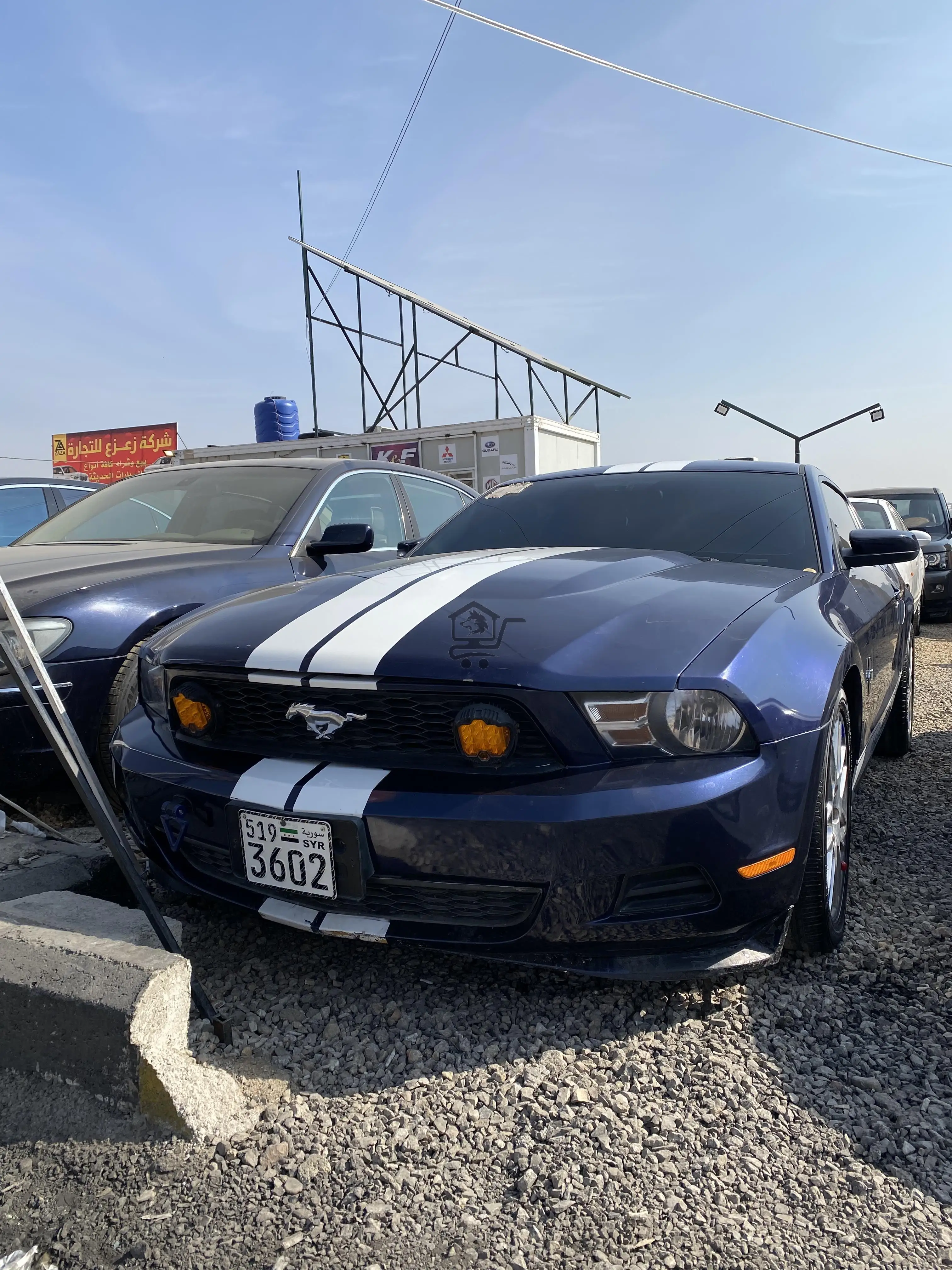 Ford mustang - الصورة 1