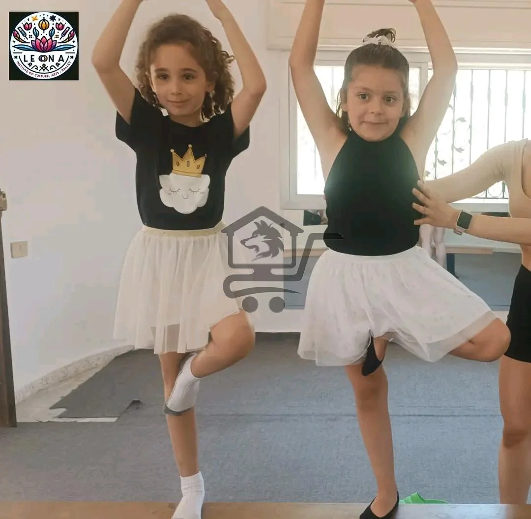 معهد ليونا للثقافة والفنون - الصورة 4