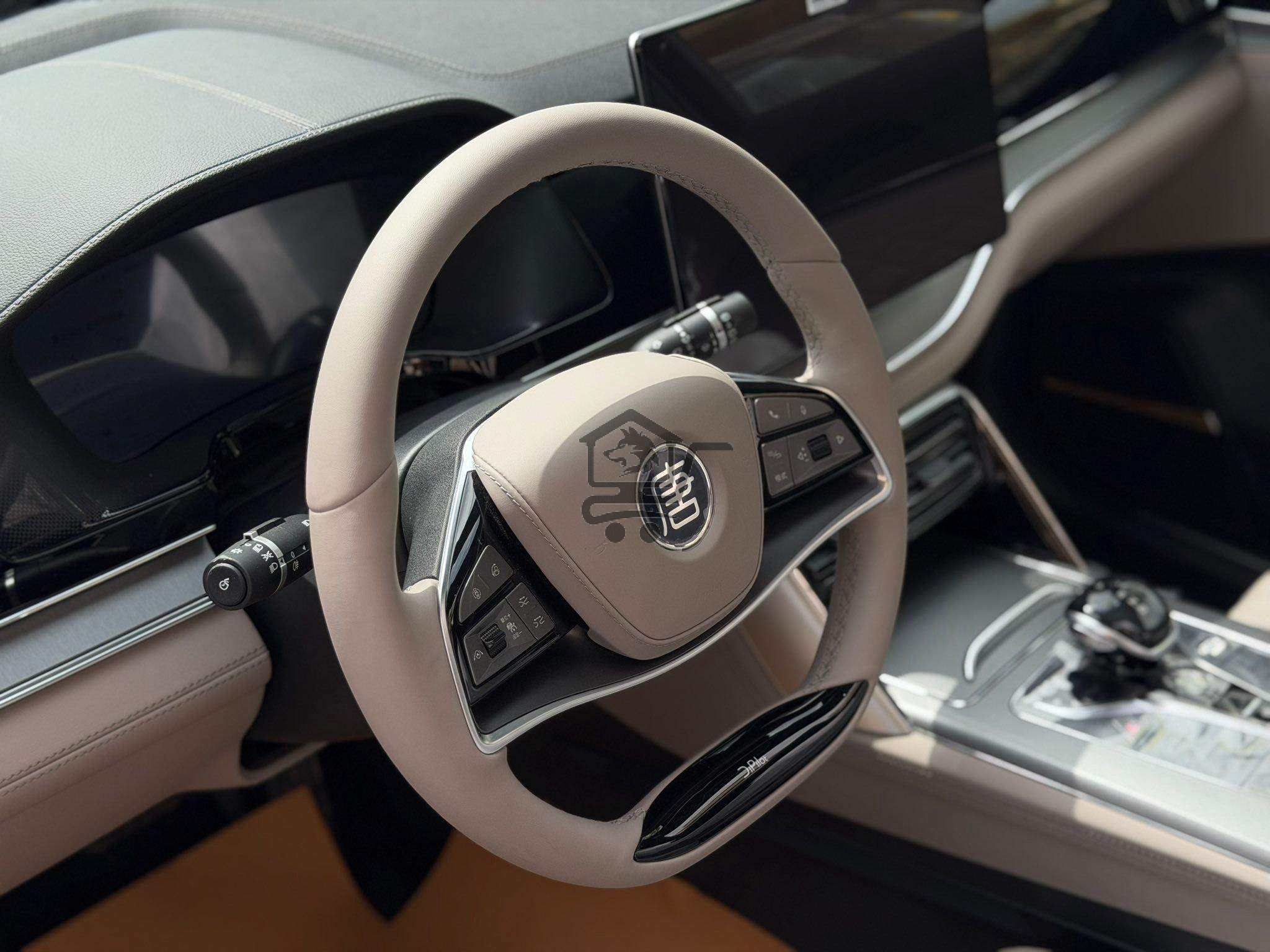 BYD Tang DM-i 2025 - الصورة 6