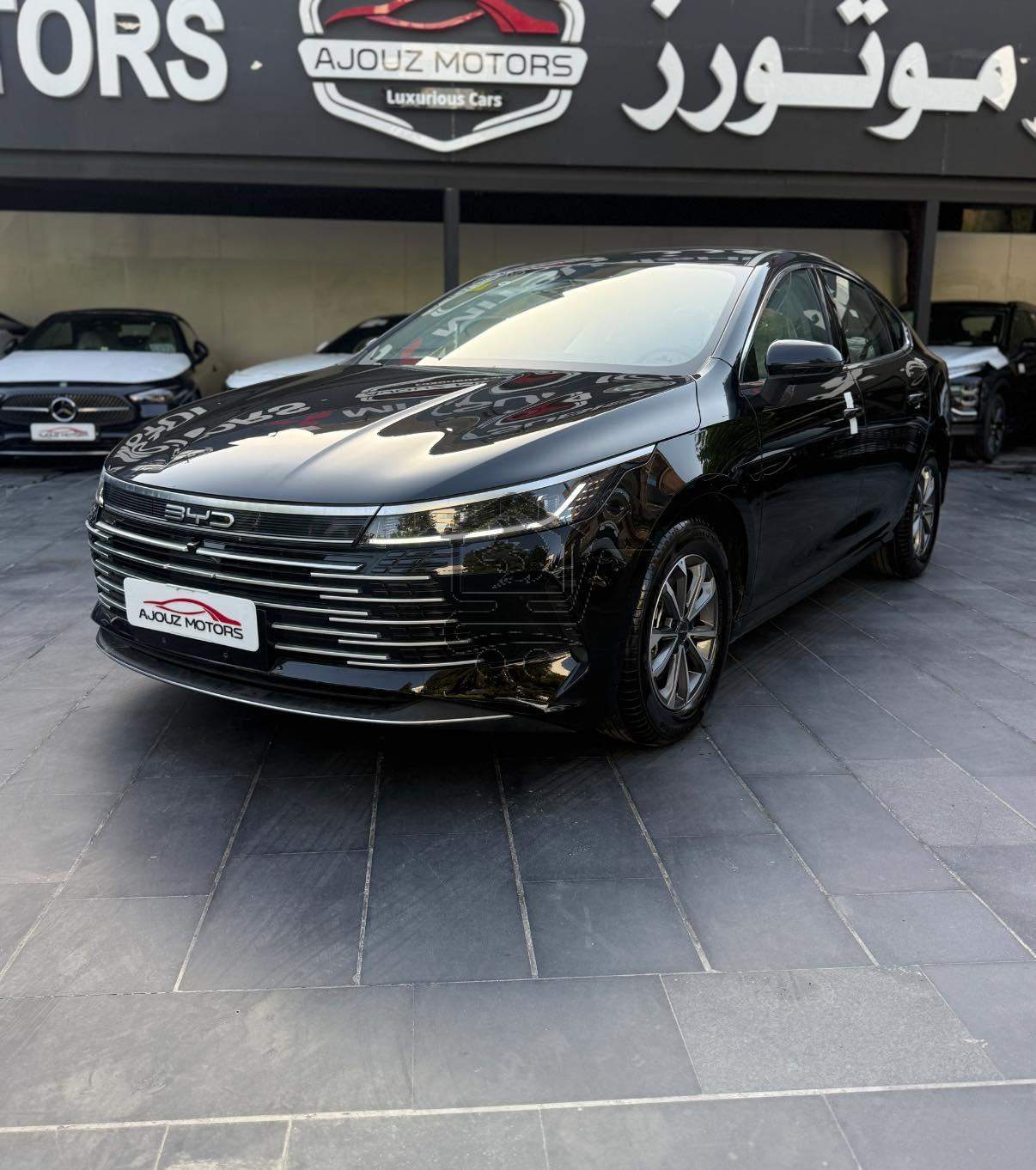 BYD Destroye 2025 - الصورة 3