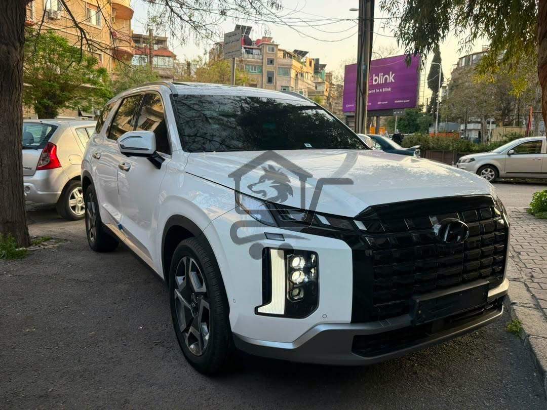 Hyundai Palisade 2024 - الصورة 3