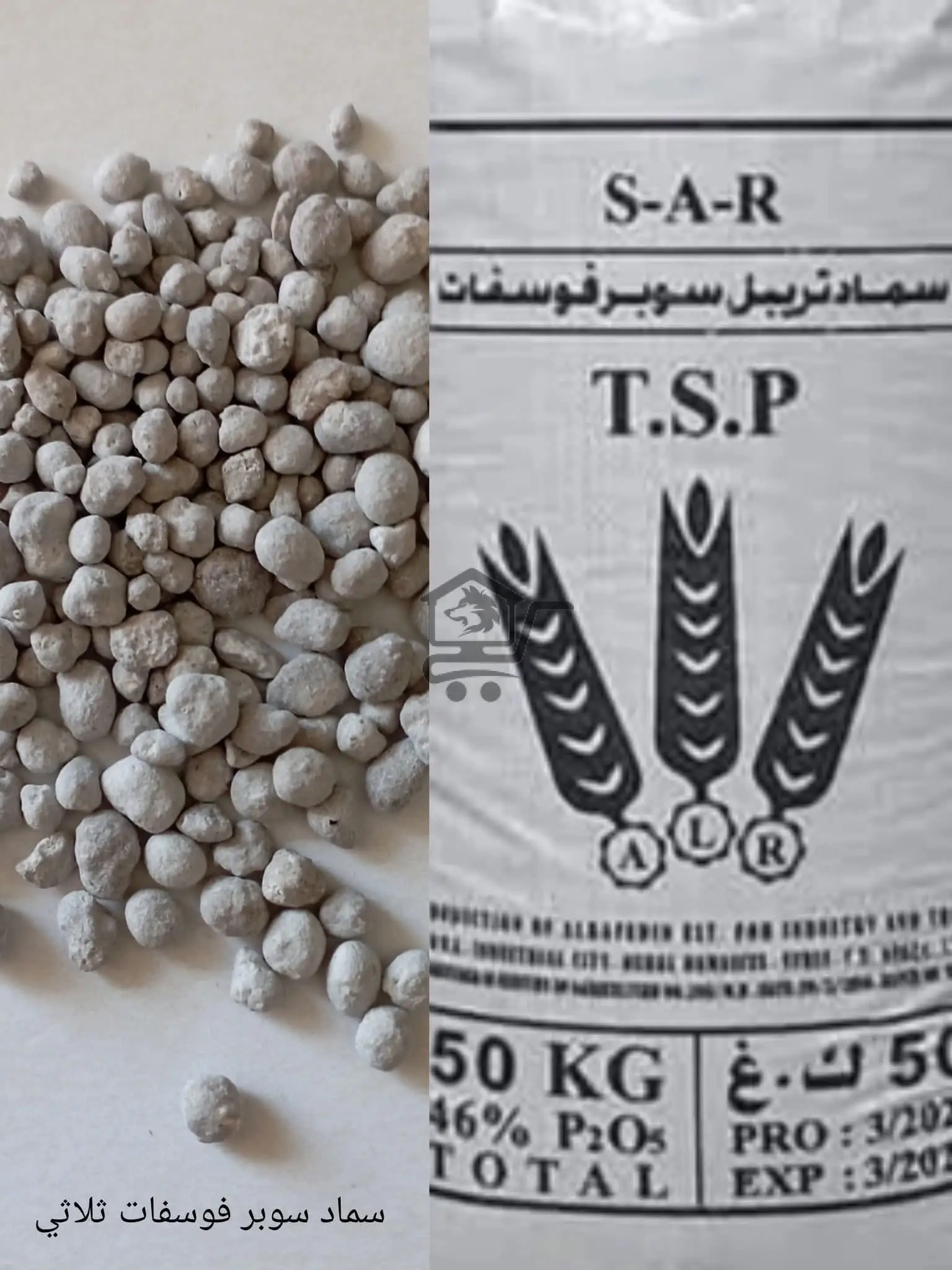 مشتل الجبل - الصورة 3