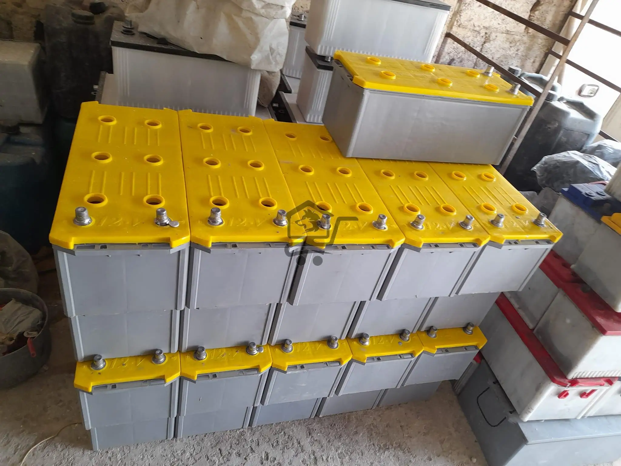 بطاريات الدلفين والبطريق - الصورة 3