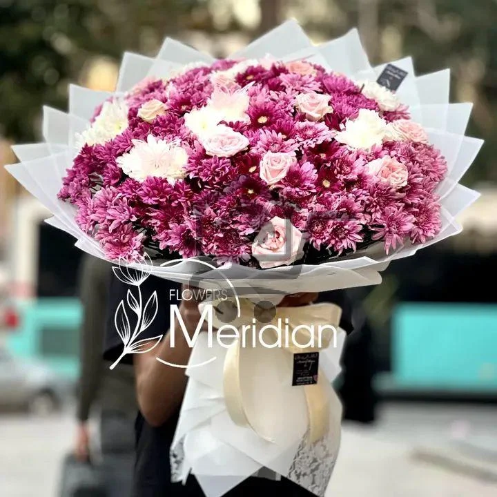 بوكيات Jambo - الصورة 3