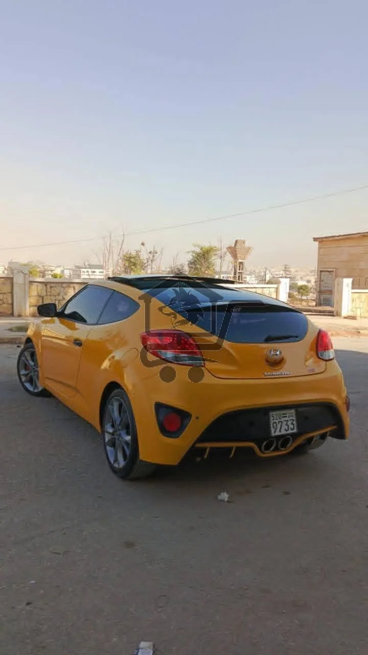 فولستر 2013 - الصورة 6