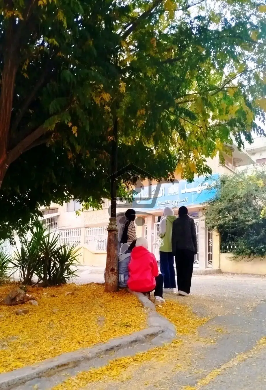 معهد الكمال للعلوم واللغات - الصورة 2