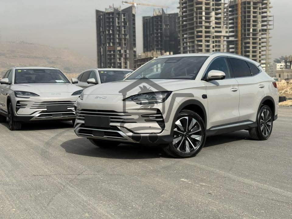 BYD - الصورة 1