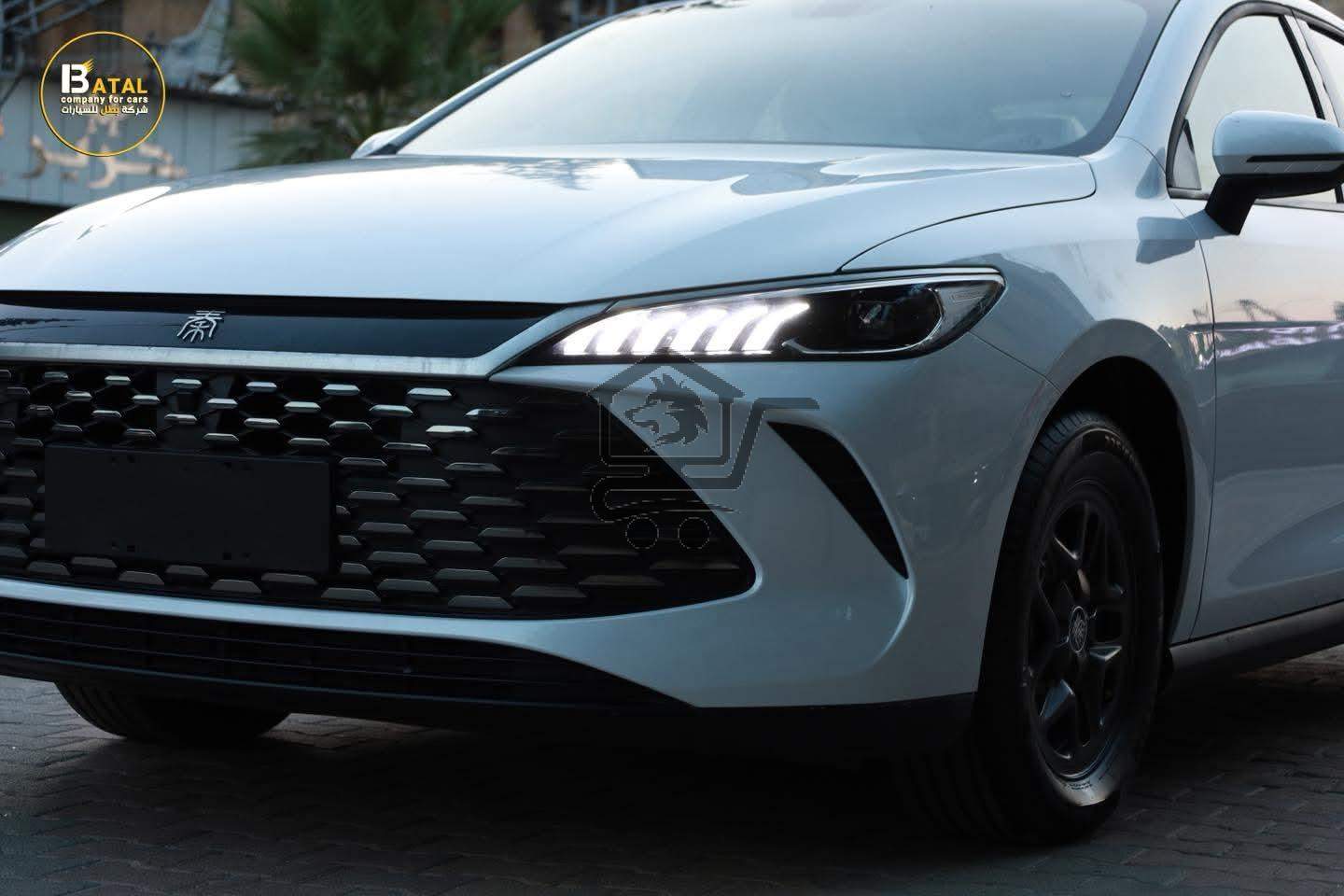 BYD QIN PLUS - الصورة 8