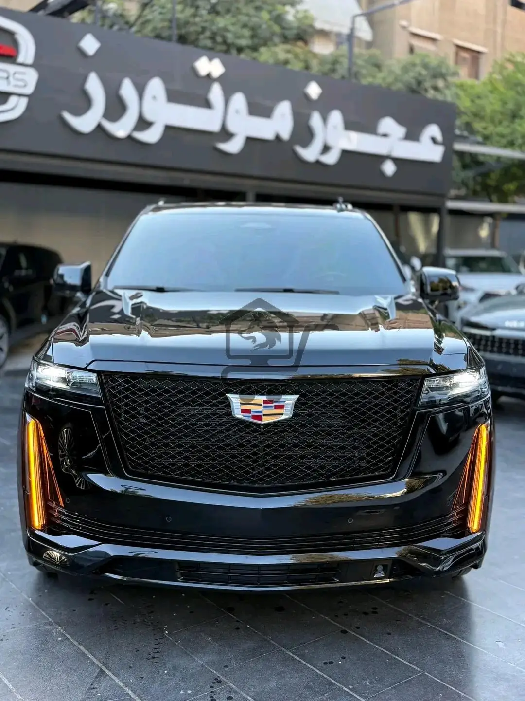 Cadillac Escalede Sport - الصورة 1