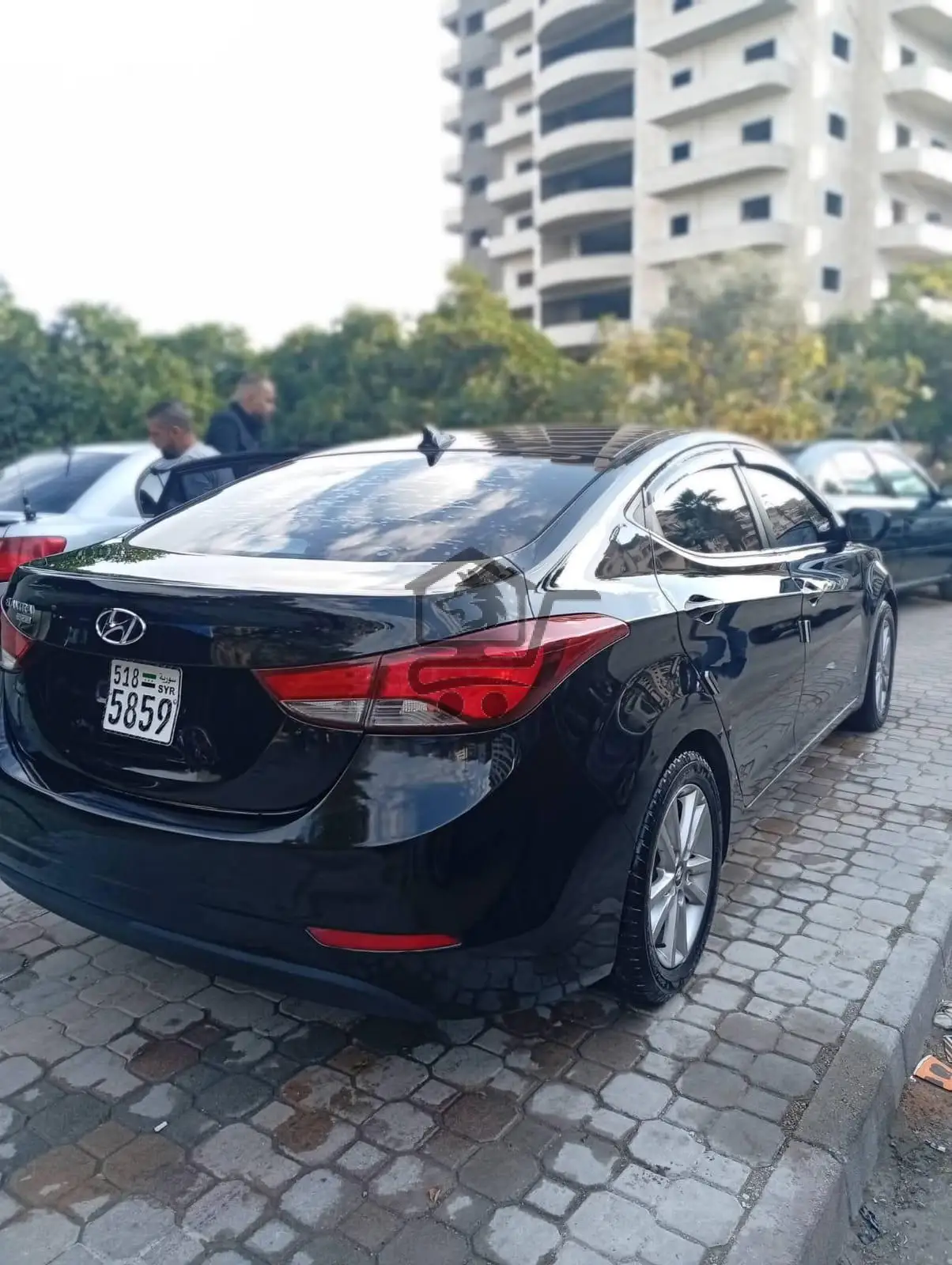 النترا سبورت - الصورة 2